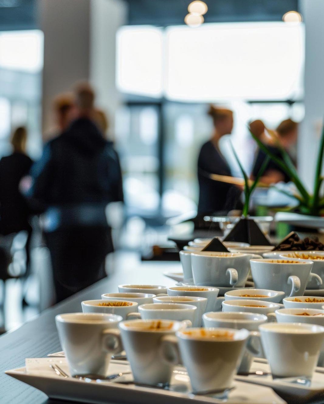 ausbery-expo-catering